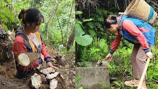 The girl went digging for cassava - accidentally picked up a puppy.