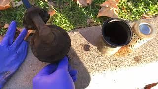 1971 Ford F-100 - Fuel Pump Replacement