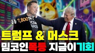 [밈코인] 지금 당장 안사면 100% 후회하는 트럼프랑 머스크가 엄청나게 밀고있는 밈코인 추천 TOP5