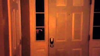 Dog rings bell to get in the house
