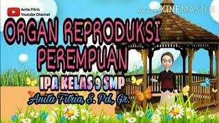 ORGAN REPRODUKSI PEREMPUAN II SISTEM REPRODUKSI MANUSIA PART 4 IPA KELAS 9 SMP #ipakelas9