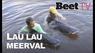 Spectaculaire meervalvangst in Suriname | Beet Magazine | lau lau  |  Beet