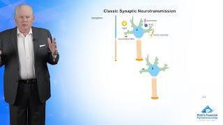 Classic Synaptic Neurotransmission