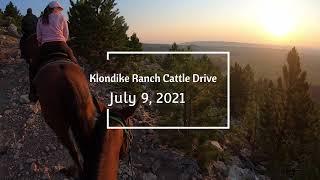 Klondike Ranch Cattle Drive | July 9, 2021