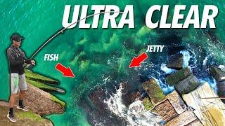 ULTRA CLEAR Jetty Fishing vs DIRTY Water -TESTED!