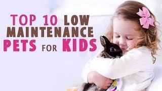 Low maintenance and Best pets for kids