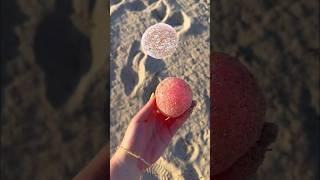 Trying to FIND FIDGETS at the BEACH!  *weird amazon fidgets*