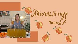 Домашний яблочный сидр. Часть 2.
