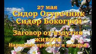 27 мая – Сидор Огуречник, Сидор Бокогрей. Заговор от вздутия живота. Народные приметы и поверья.