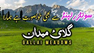 How To Reach Gallai Meadows - Unexplored & Untouch Beauty Of KPK