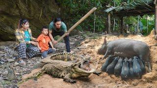 crocodile attacks our piglets, peaceful life on the farm, SURVIVAL ALONE