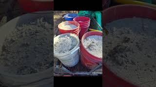 making a dust bath for your chicken coop