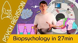 Biopsychology - AQA Psychology in 27 MINS! *NEW* Quick Revision for Paper 2