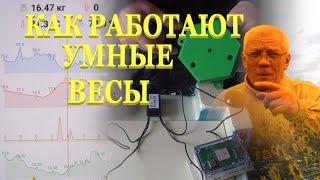 Весы для пасеки Весы для пчеловод Что увидит пчеловод