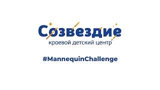 #MannequinChallenge от Детского центра "Созвездие"