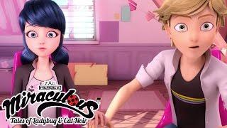 Miraculous Ladybug |  Season 1 Compilation  | Ladybug and Cat Noir | Animation