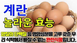 계란의 놀라운 효능 8가지 & 부작용 / " 에너지 충전! 계란의 단백질과 비타민으로 활력을 되찾다"