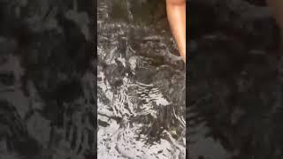 rumasalvia Mandi #tiktok #cantik #challenge #tantangan #viral #viralvideo #mandi #terbaru #trending