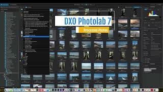 Digital Asset Management with DXO PhotoLab 7: Organize and Optimize Your Workflow!