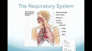 Science 8 Cells and Cell Systems Organ System Overview Topic 6