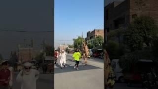 Kon ziada fast bhag rah?️note kro#animals #animalshorts #animallife #petlover #petshub #petlove