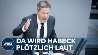 HABECK WIRD IM BUNDESTAG LAUT: "Sind wir denn hier im Fußballstadion, oder was? Ist das ‚ne Demo?"