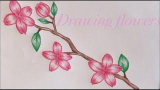 Flower pot  with flower drawing easy and simple flower pot drawing