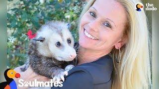 Woman's Soulmate Is A Possum - KRICKET | The Dodo Soulmates