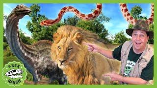 Dinosaur Adventure With Zoo Animals! T-Rex Ranch Adventures for Kids