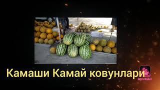 Камай ковунлари Камаши 