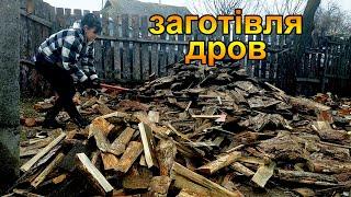 Закінчились дрова, мерзнемо. Зимова заготівля дров на літо) Життя в селі