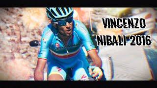 Vincenzo Nibali 2016 I Best Of