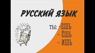 Мягкий знак в личных окончаниях глаголов 2- го лица единственного числа