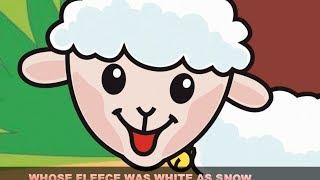 Mary Had A Little Lamb with lyrics - Nursery Rhyme by EFlashApps