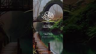 Holy Quran Recitation of Surah Al–Insan for Relaxation|Translation Urdu #shortsvideo #quotes #duet