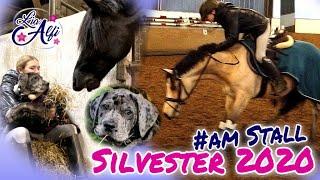 Lia & Alfi - Silvester 2020 mit Rudi am Stall