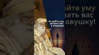 Как ум превращает решения в новые проблемы