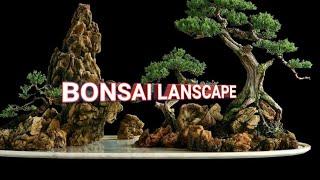 LANSCAPE BONSAI - PANORAMA - PENJING - Bonsai Tree