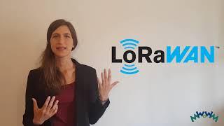 WoWMoM'21 teaser video: LoRaWAN networks evaluation through extensive ns-3 simulations