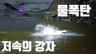 탑워터로 끌어올려라!! 저속의 강자 크로울러베이트 배스낚시 [with 신현민]