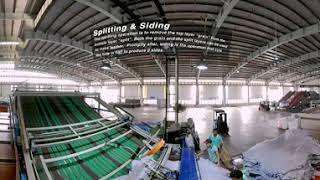 PrimeAsia Vietnam - Splitting and Siding (360° Video)