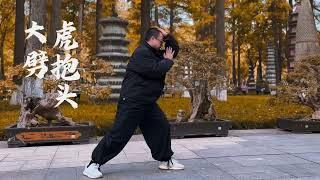 Xinyi Liuhe Quan needs to be practiced one by one. The fist arrives before you expect it.#心意拳 #翀师兄