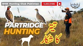 Partridge Hunting | Teetar Ka Shikar