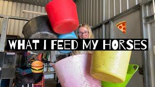 WHAT I FEED MY HORSES AND WHY - FEED WITH ME!