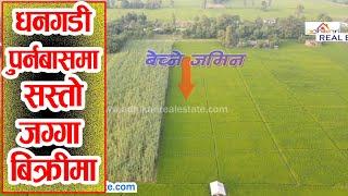 Cheap Land Sale in Dhangadi | Adhikari Real Estate | Ghar Jagga | Ghar Jagga Kathmandu | Sasto Jagga