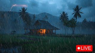 Live Rain Ambience | Gentle Sounds for Sleep and Study