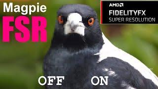 FSR on any game! Magpie in English, how to adjust Sharpness and Performance issues