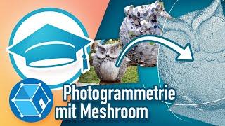 Photogrammetrie | vom Foto zum 3D Modell – MESHROOM