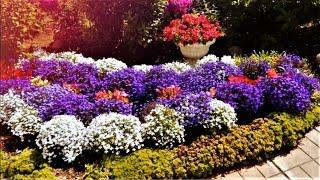 Ландшафтный дизайн Великолепные идеи для дачи и сада / Examples of beautiful gardens