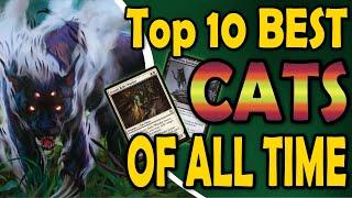 Top 10 Best Cats of All Time in MTG